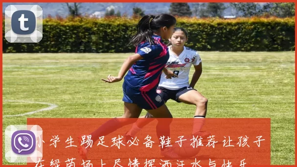 小学生踢足球必备鞋子推荐让孩子在绿茵场上尽情挥洒汗水与快乐