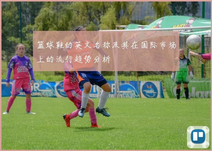 篮球鞋的英文名称及其在国际市场上的流行趋势分析